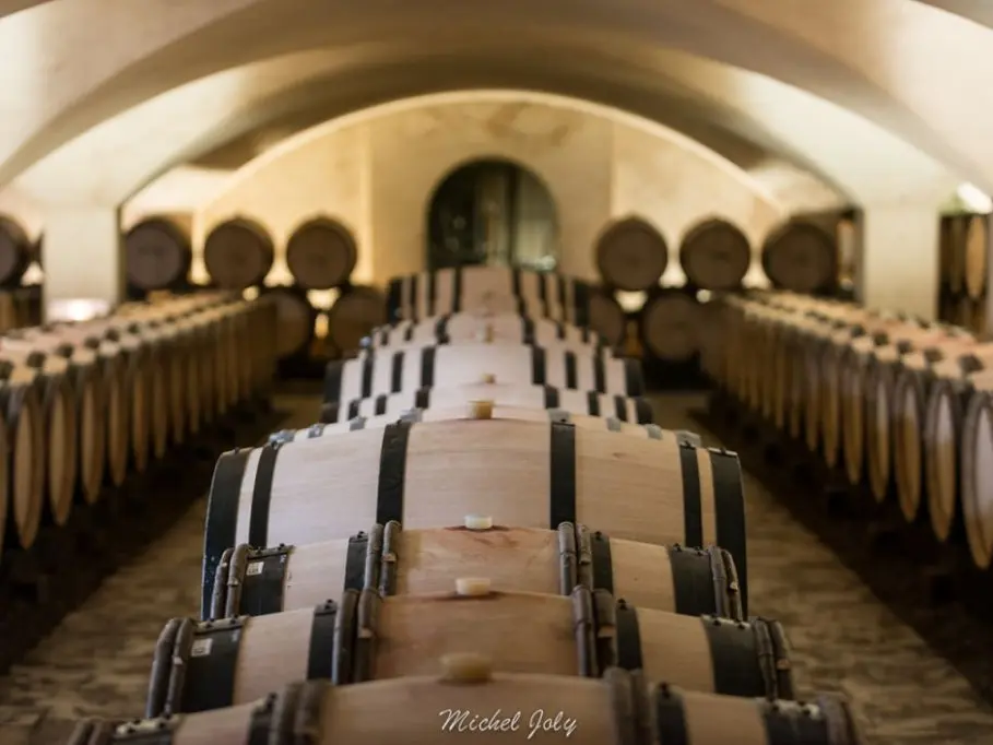 Dégustation privative du Château de Marsannay