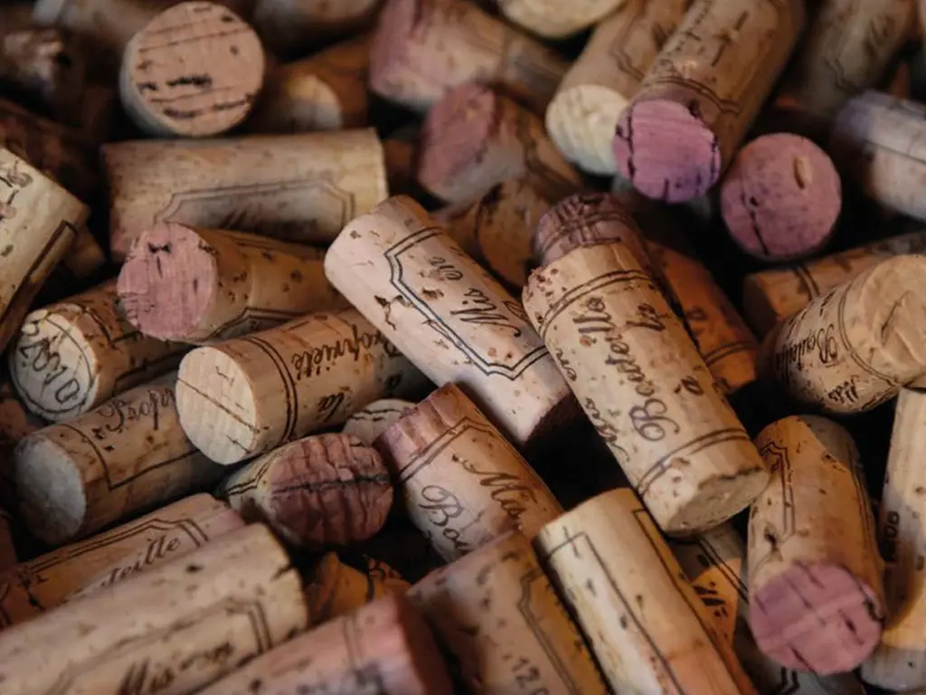 Au-paradis-du-pinot-noir-2