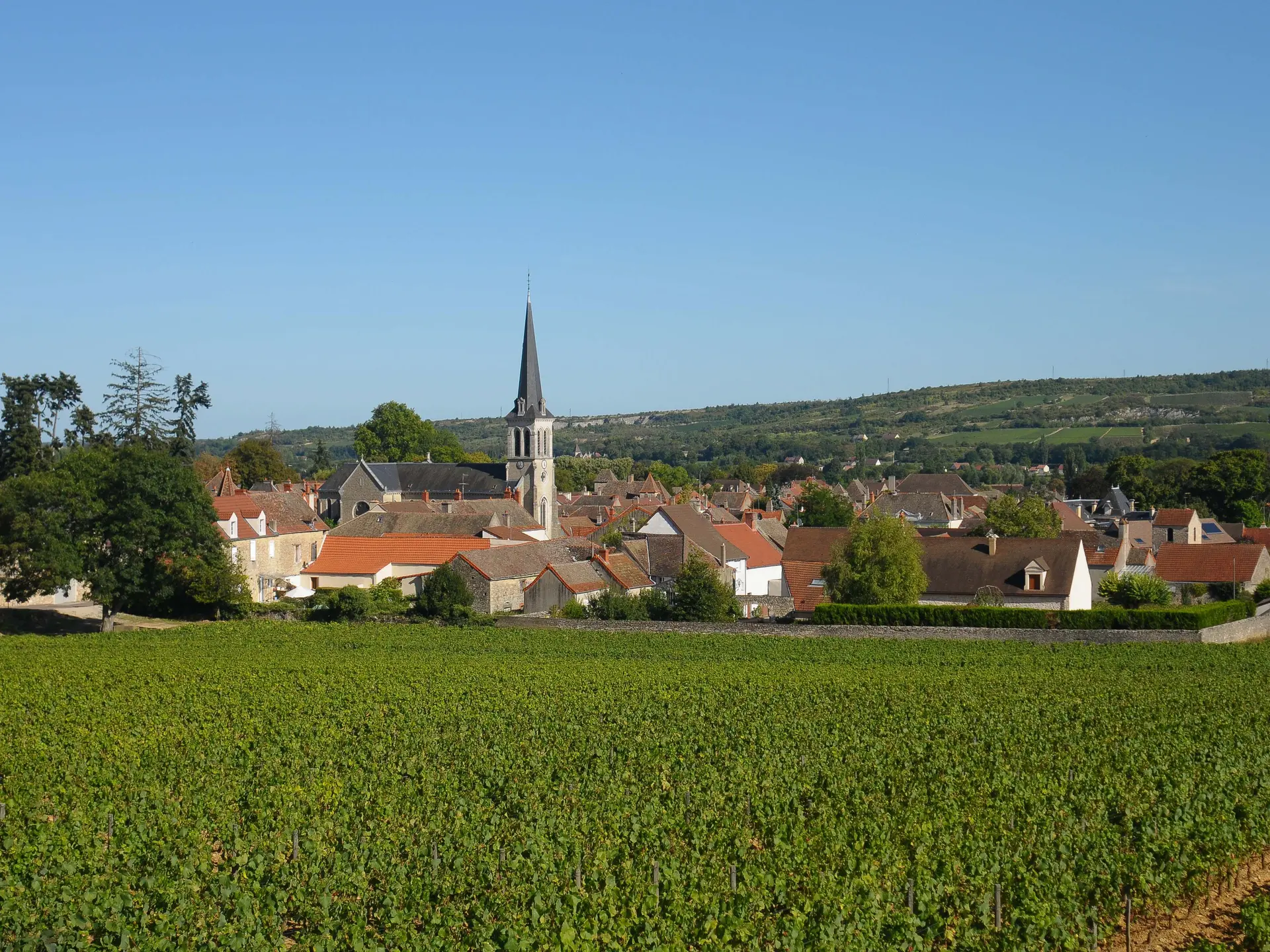 Balade-Santenay-Ville-eau-vin