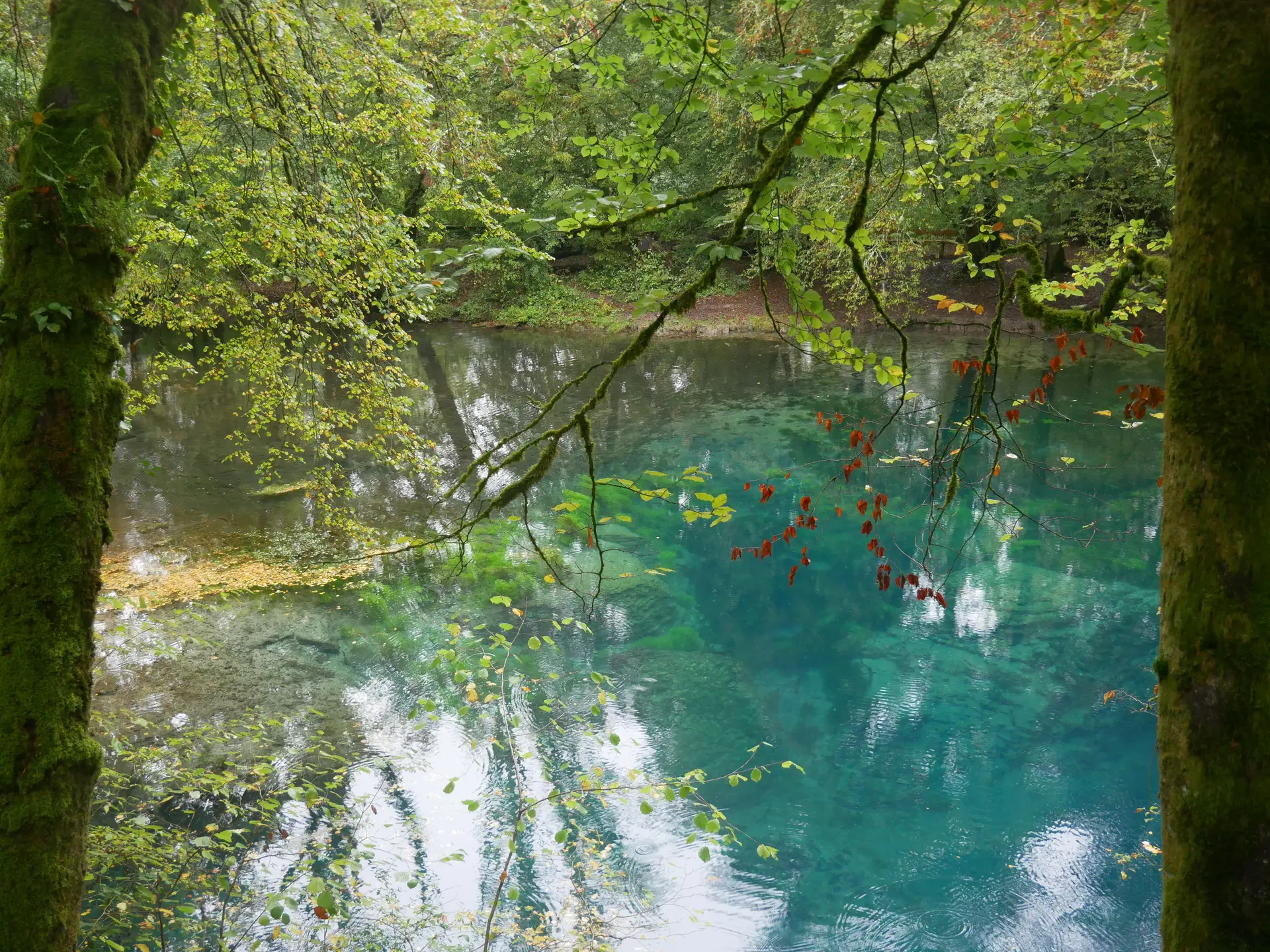 Source-du-Planey©Destination70 (3)