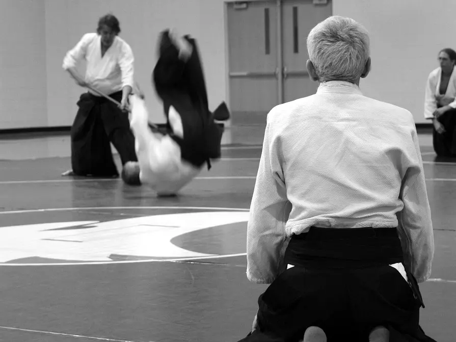 aikido-362951_1280