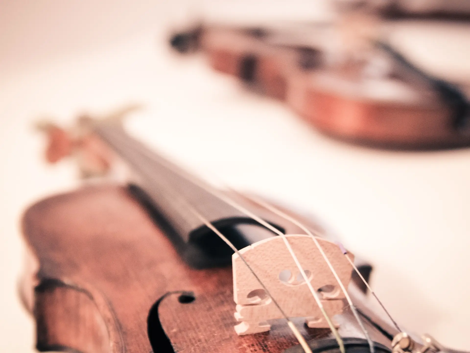 violon