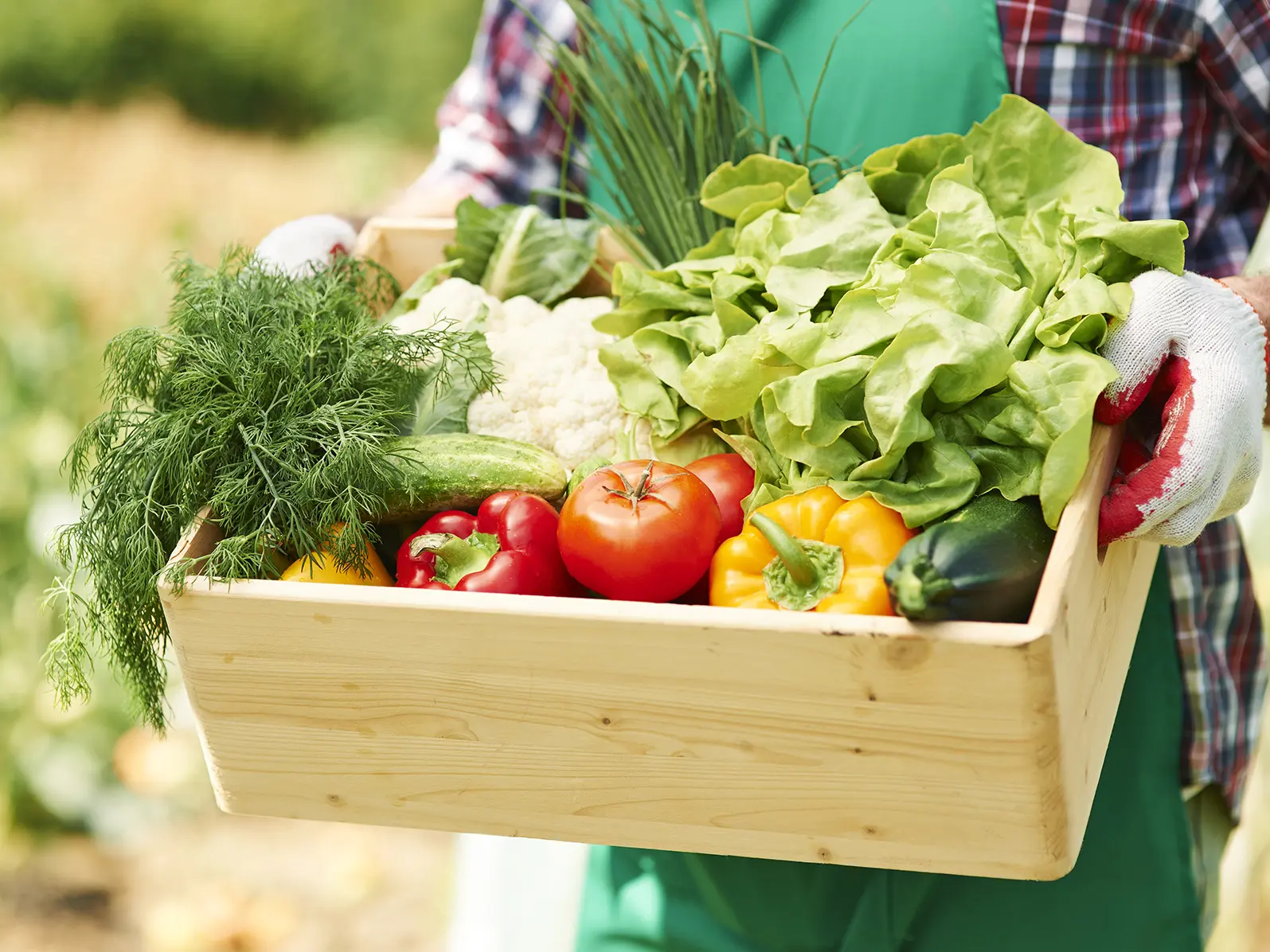 maraicher prairie Mercey