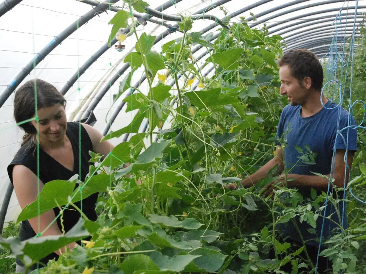 sarah-et-david-dans-les-serres-du-jardin-de-la-source-a-ternuay-photo-d-archives-er-clp-1585304412