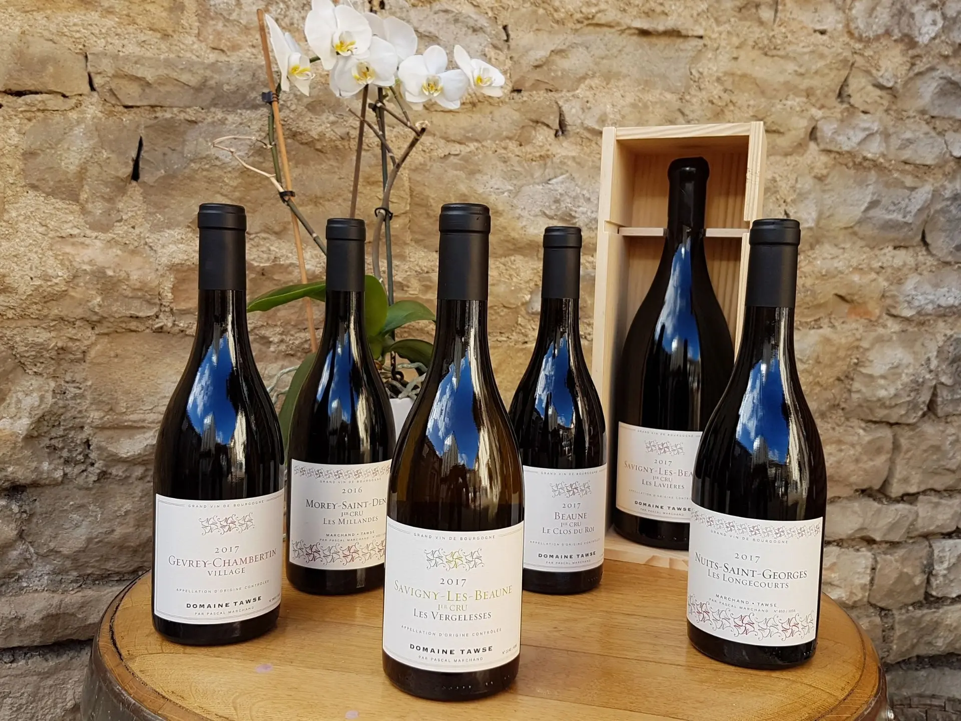 photos présentation de bouteille