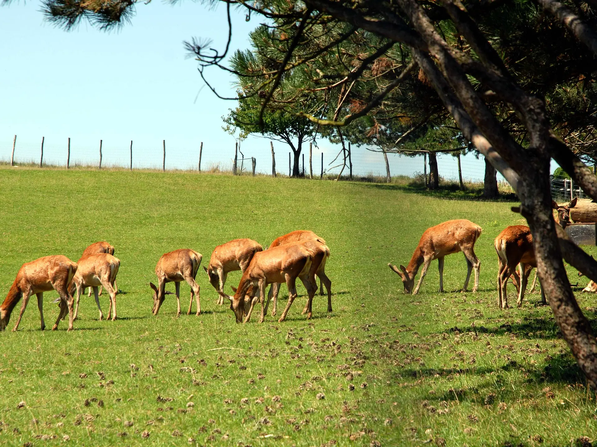 Pause nature à Vyans-le-Val