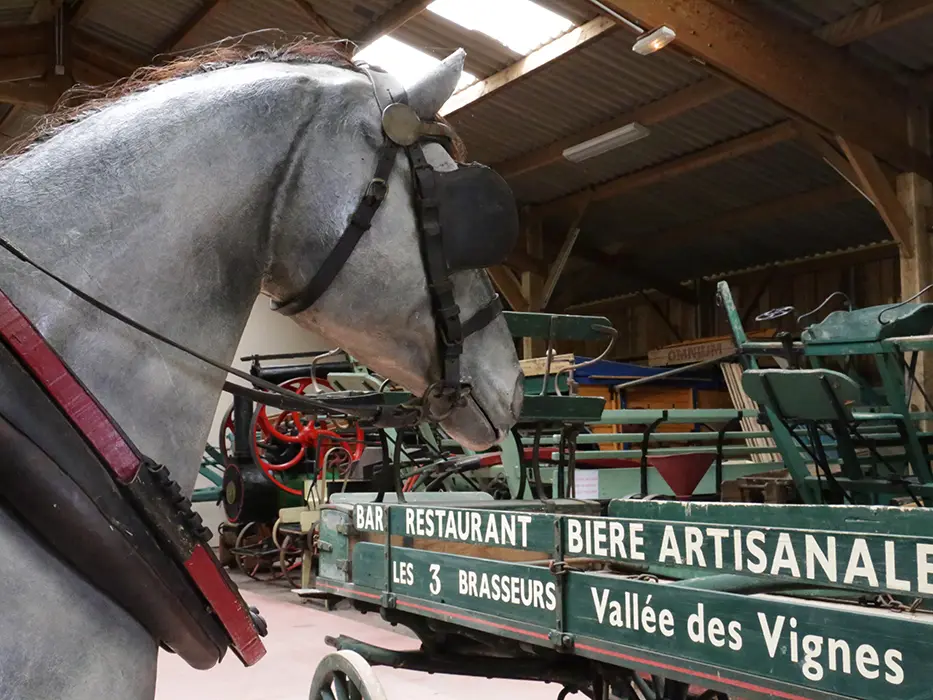 Musee-cheval2-2