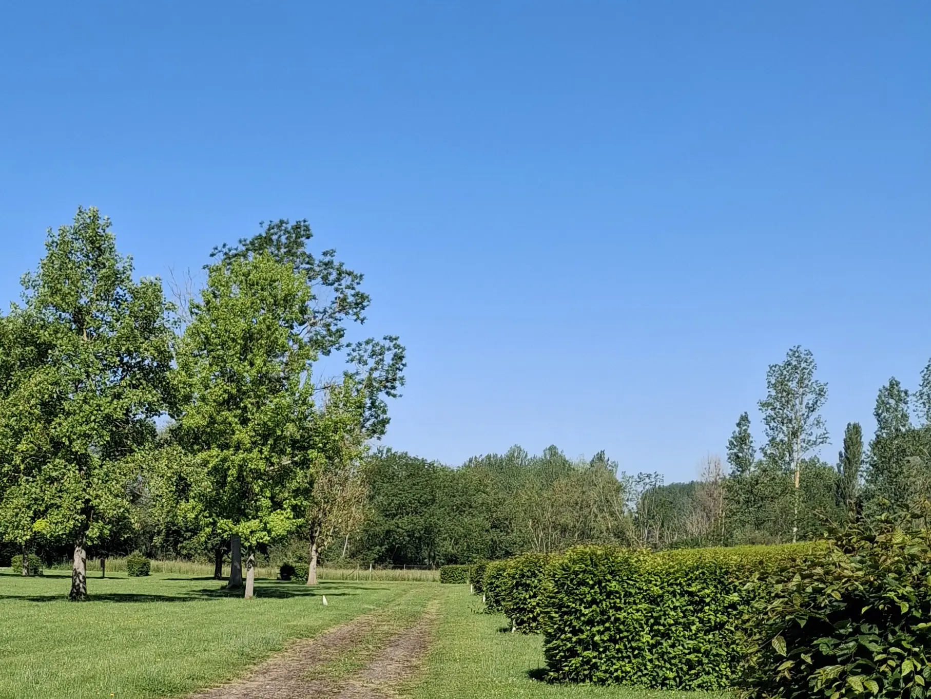 Camping de Ribemont