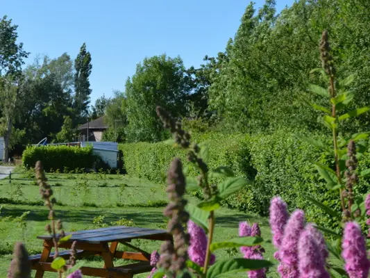 Camping de la Petite Forêt