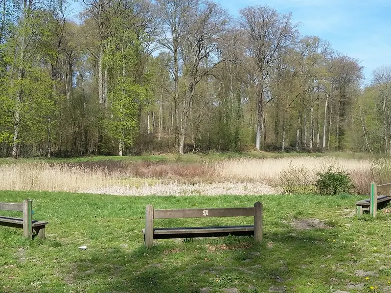 Etang de Malva - foret de Retz