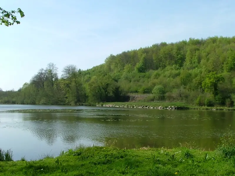 Etang de la Ramee en foret de Retz