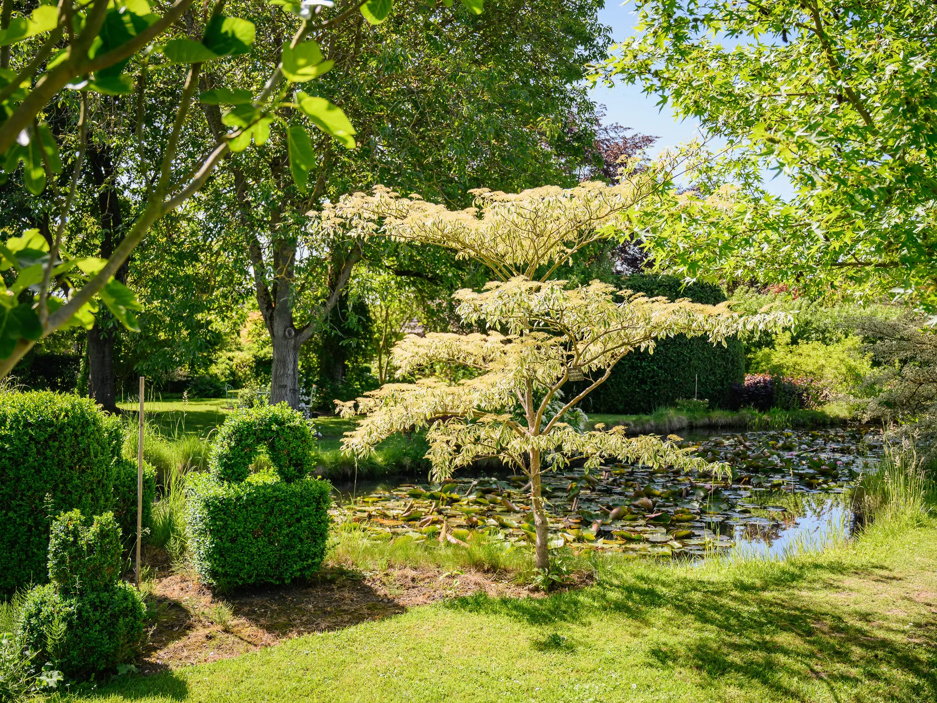 HERCHIES_Jardin-Du-Brule_2026©VincentColin (27)