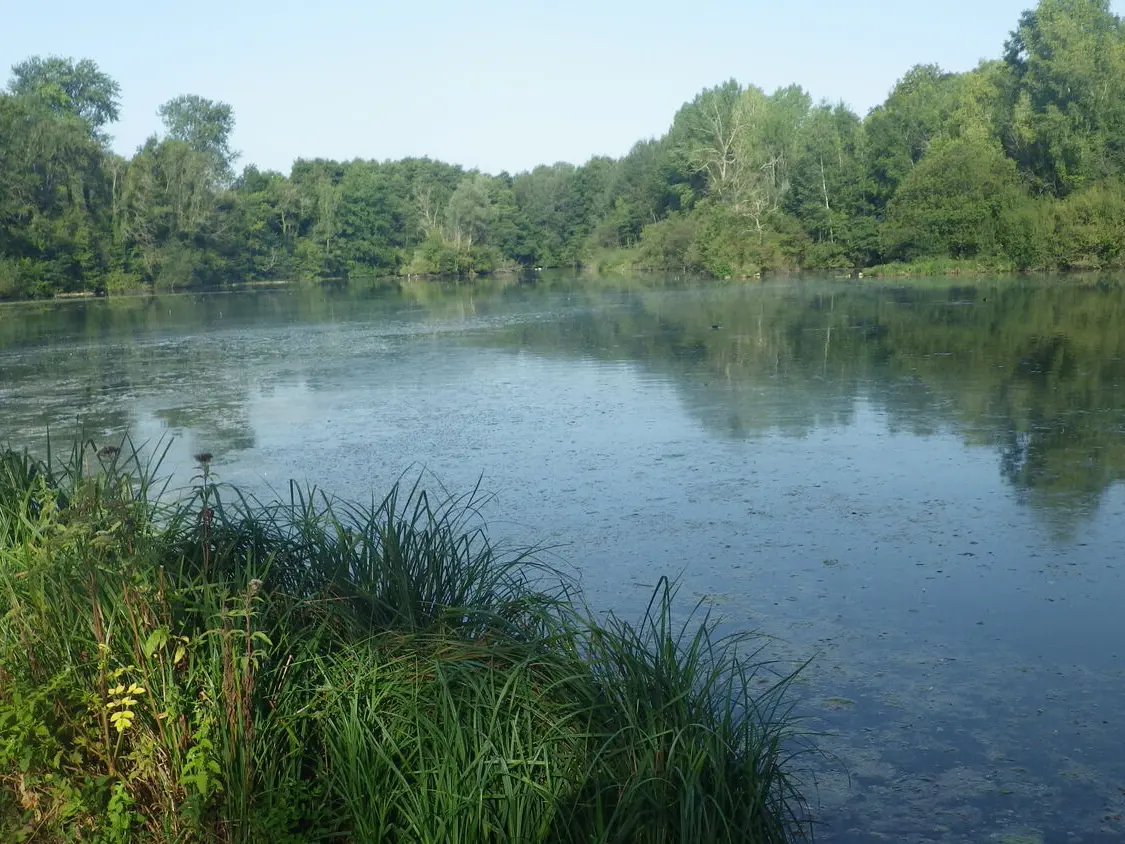 Etang de Lavilletertre