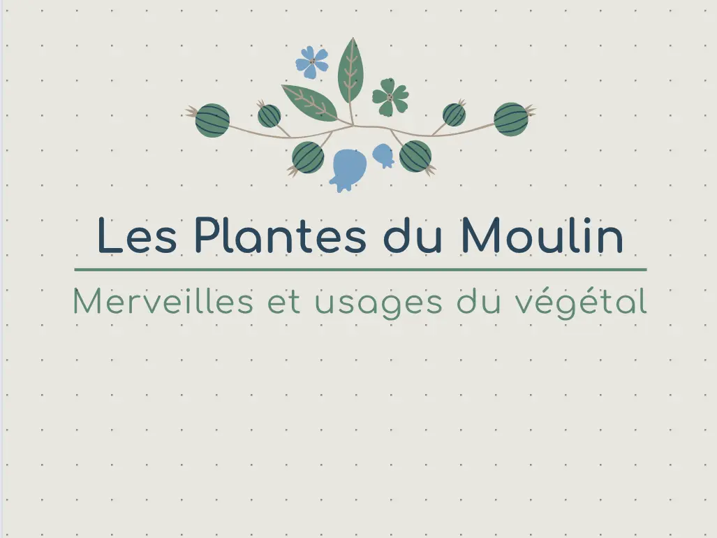 Iplantes du moulin fond clair