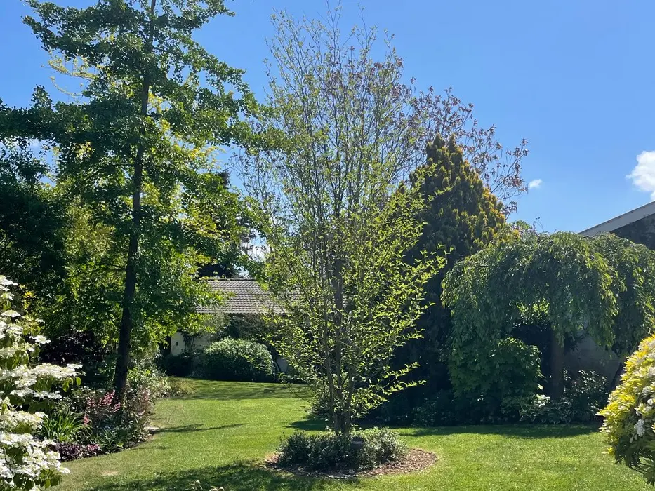Jardin Baume et Bonheur©V.Armbruster