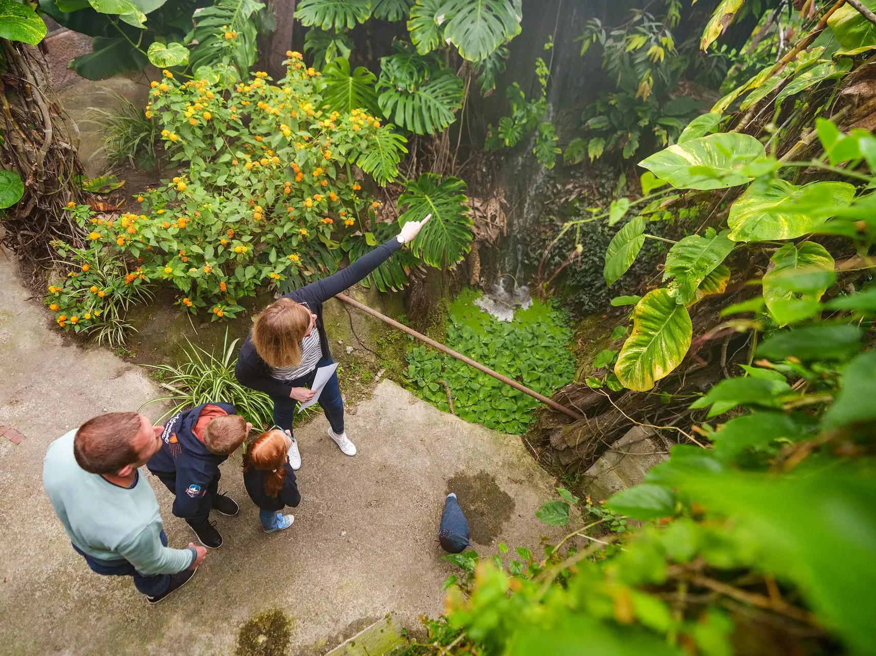 Jardin Botanique du Beau Pays à Marck
