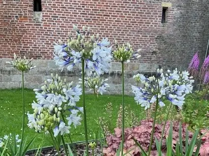 Jardin de la Paix