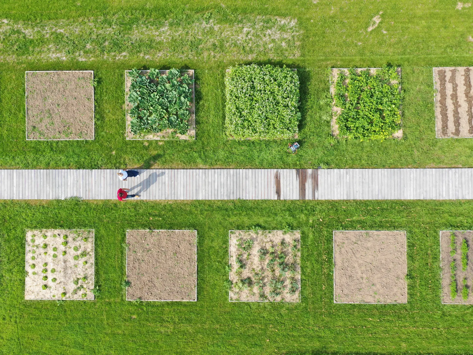 ardin du Potager Conservatoire Couple