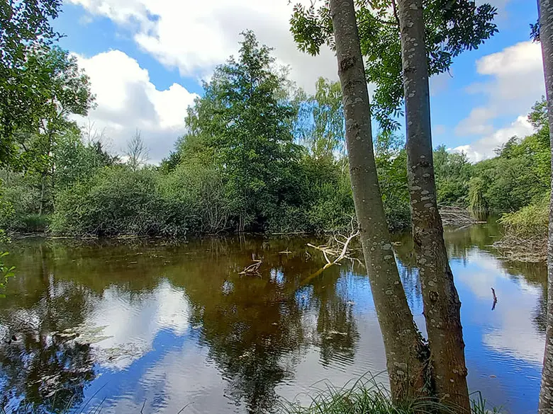 Sortie marais Solitude < Laon < Aisne < Hauts-de-France