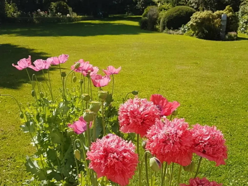 Les Jardins Hoymille accueil velo