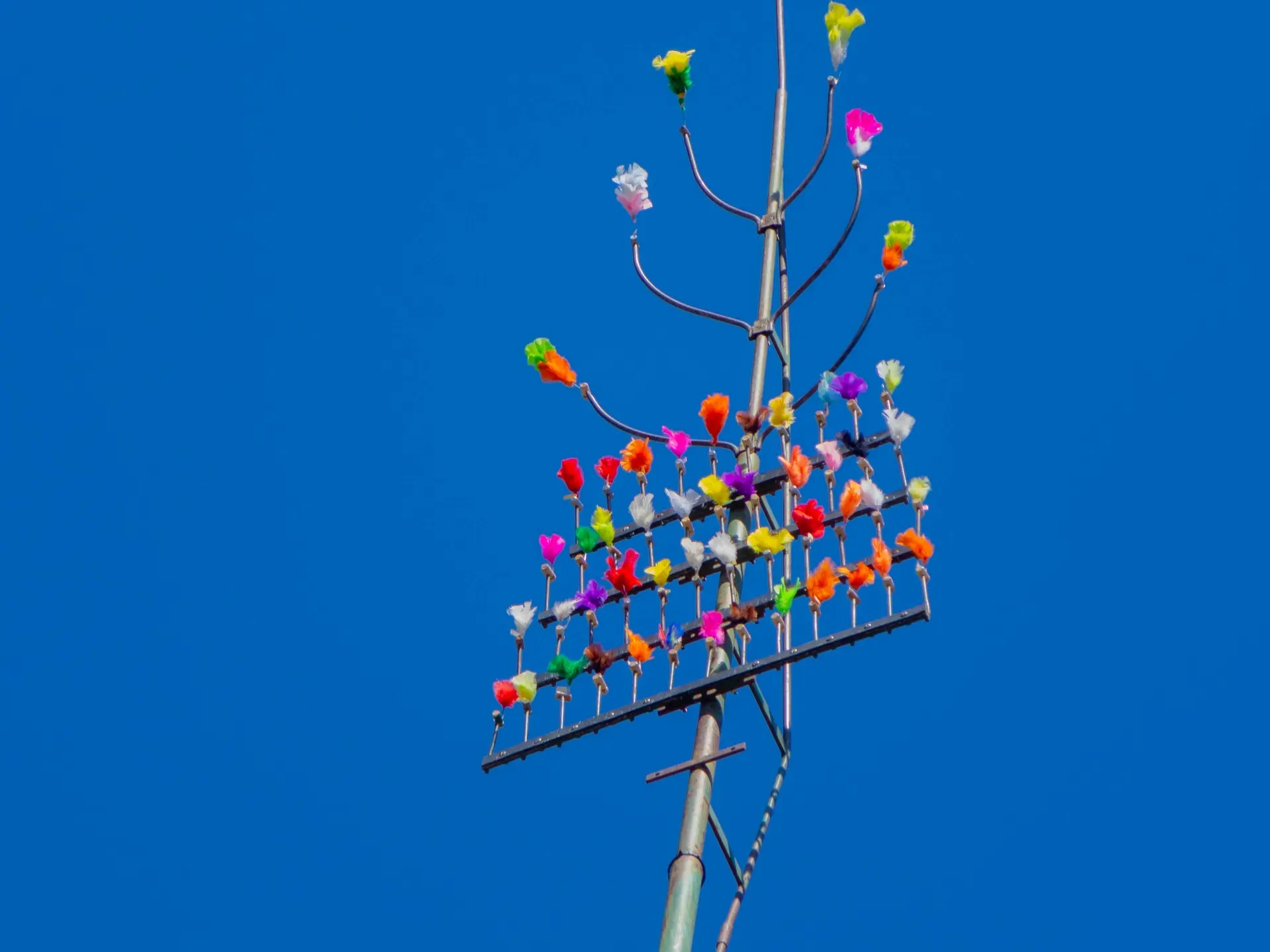 Tir a l'arc - aout 22-3