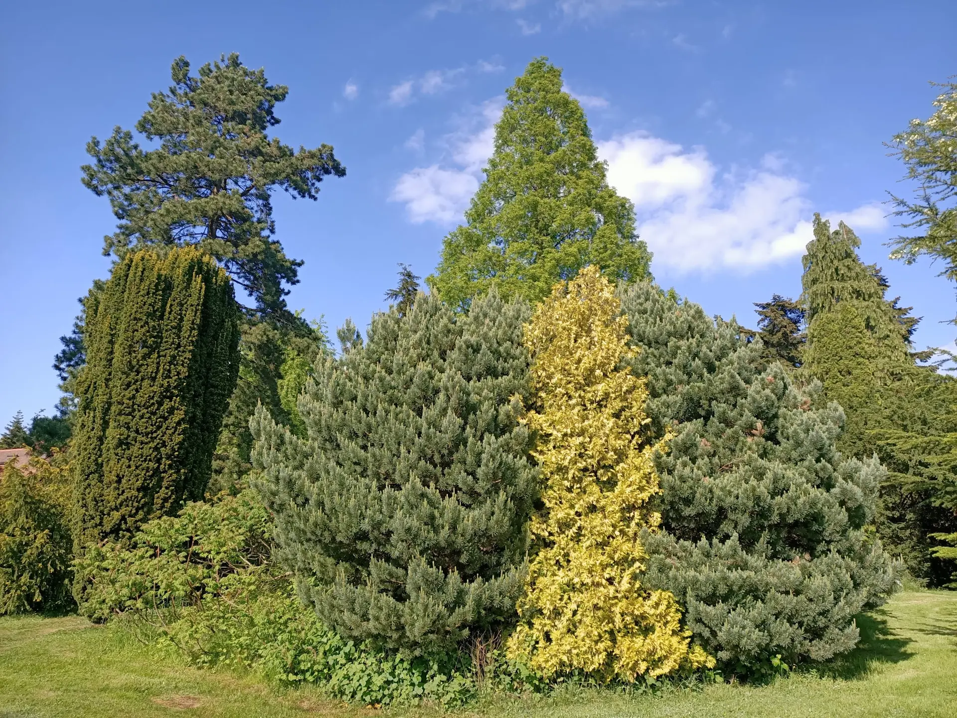 manoir aux loups