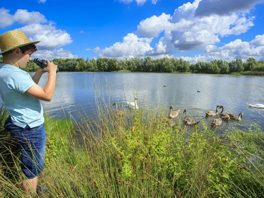 etangs-de-plessis-brion-OT-pays-noyonnais-en-vallees-de-l-oise-2018-photo-anne-sophie-FLAMENT-3931-2
