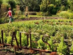 jardin vertueux