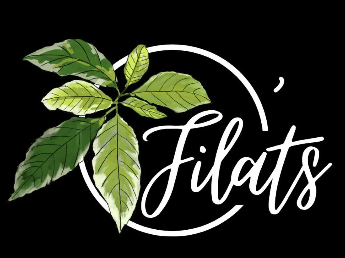 logo o filats