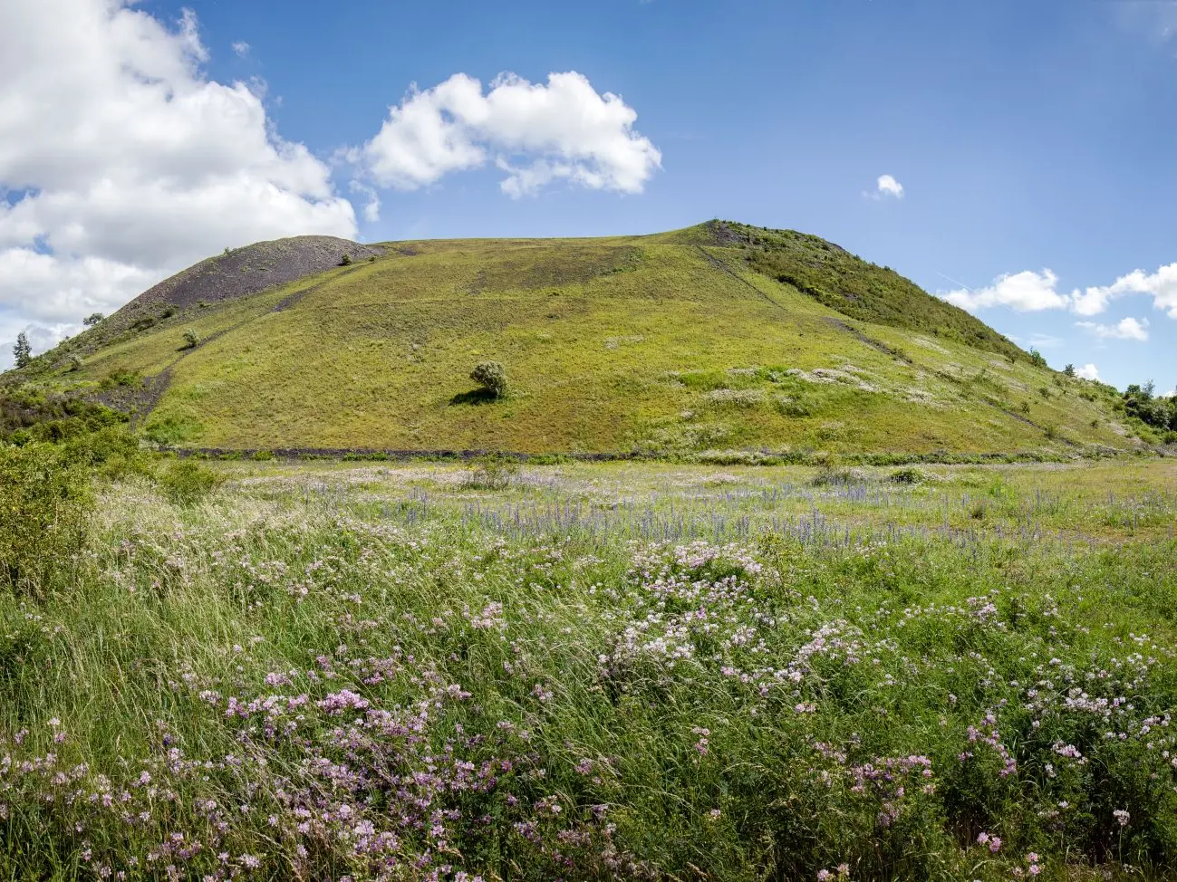 panorama-estevelles-eden62_1
