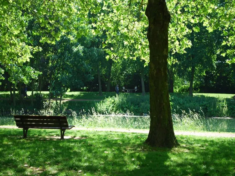 parc-de-la-glissoire-avion_1