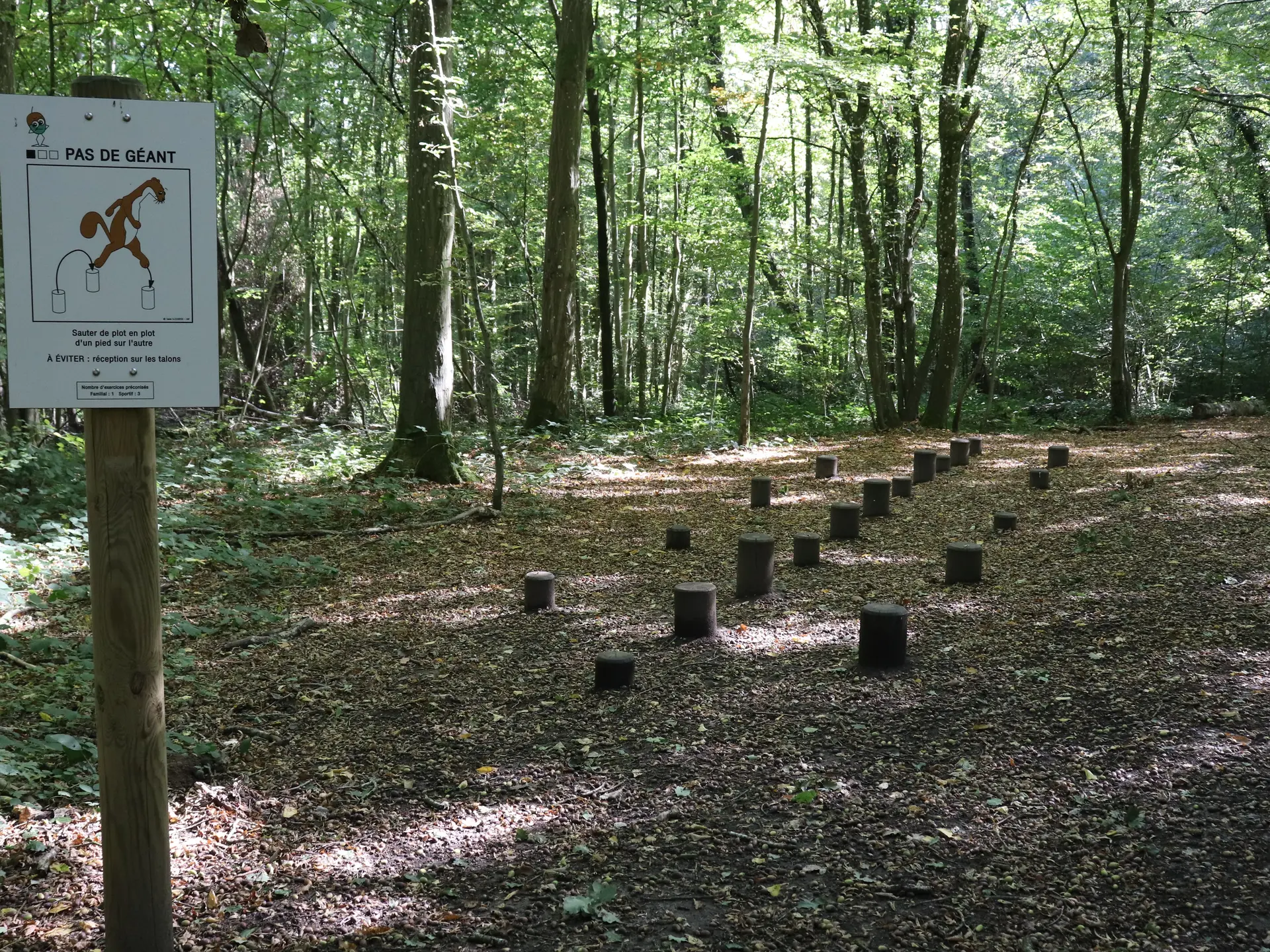 parcours santé bois magneux