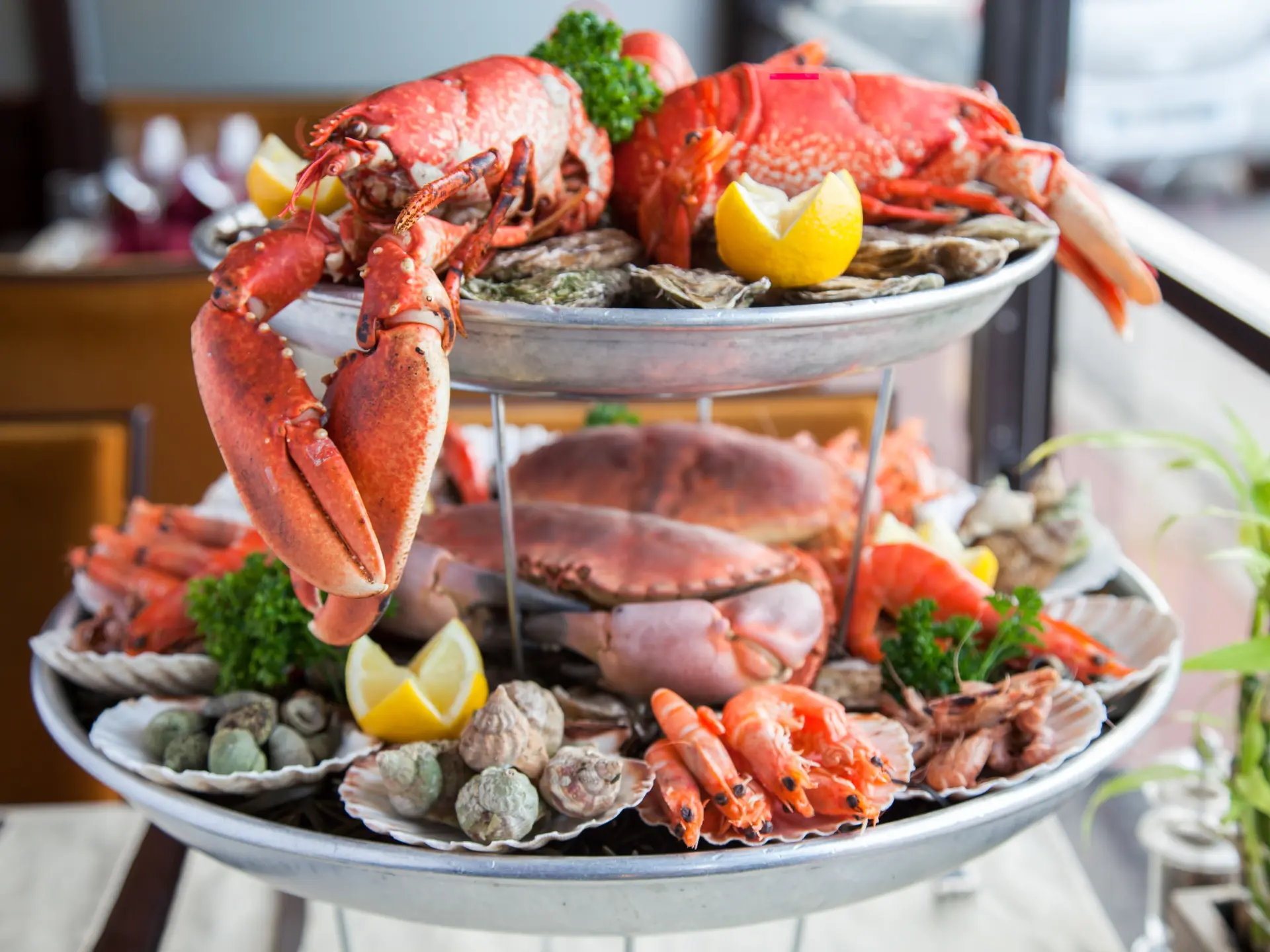 plat-oh-mouettes-fruits-de-mer-crustaces