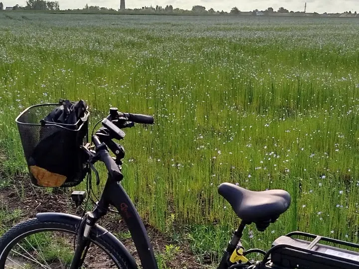 velo champ lin hondschoote - AL juin 2025