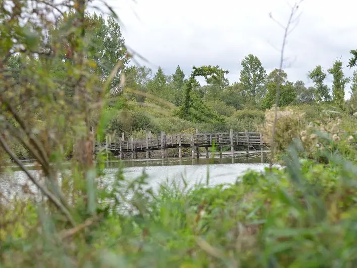 Marais de Fretin