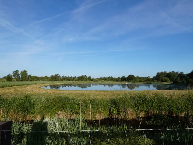 Marais de Sacy