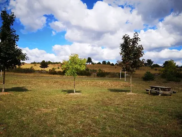 Aire de pique-nique de Saint-André-de-Vézines