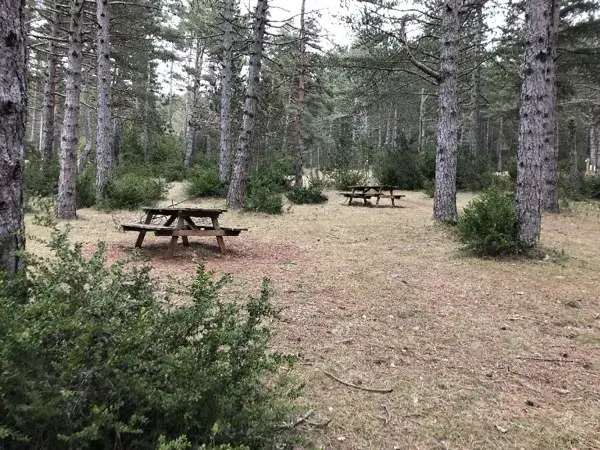 Aire du Causse Noir