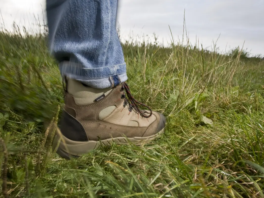 Randonnée pédestre