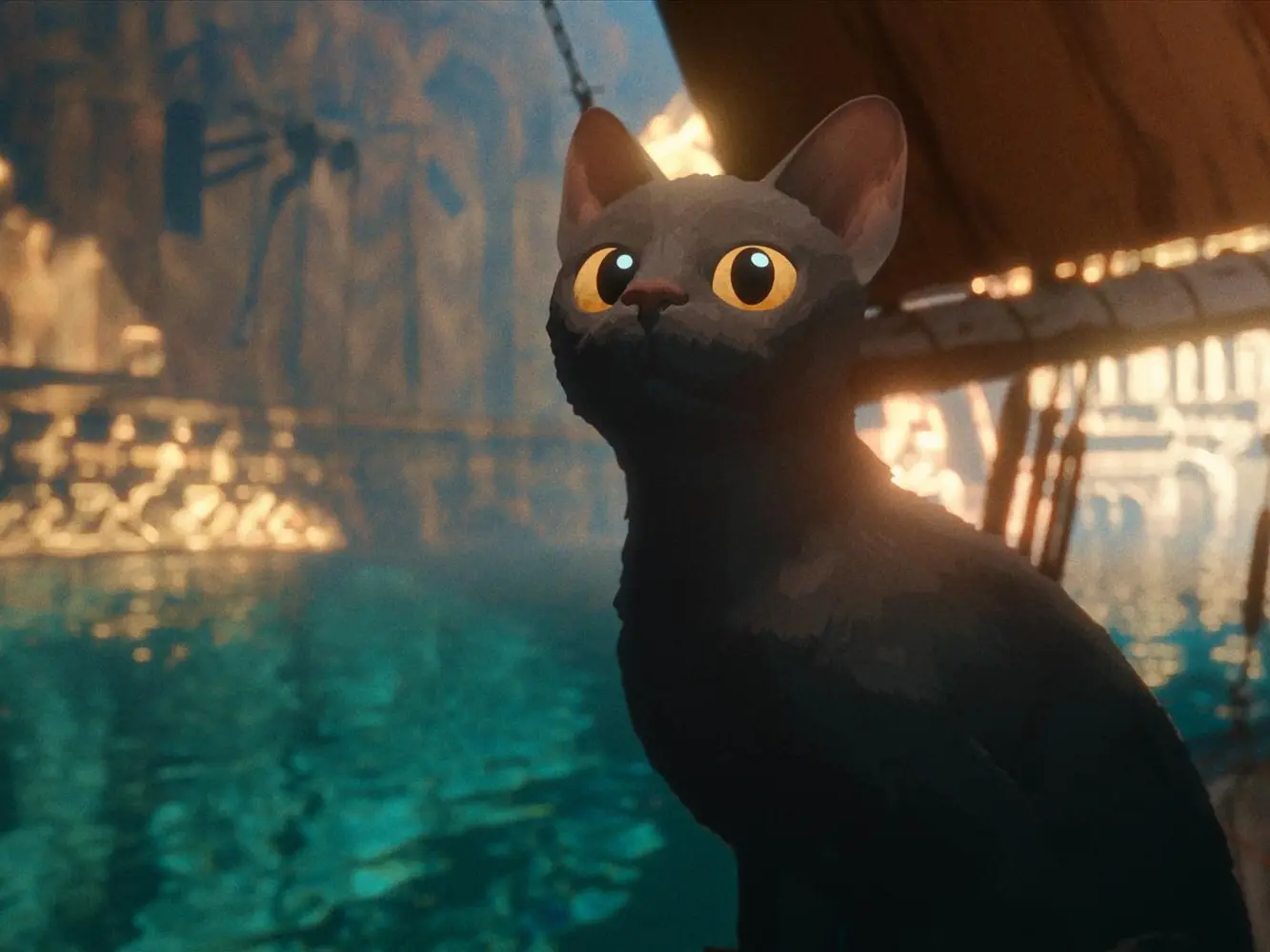 Flow, le chat qui n'avait plus peur de l'eau