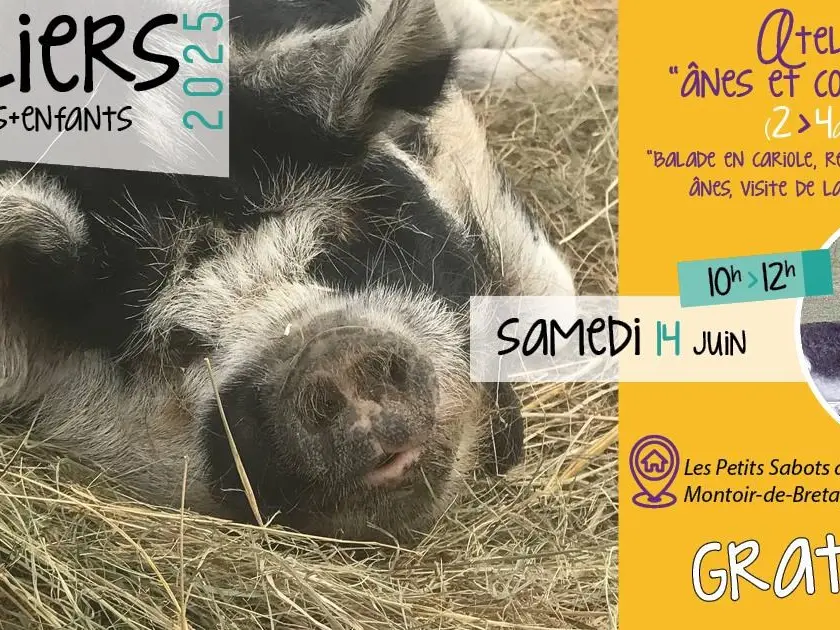 Atelier parents-enfants 2-4 ans