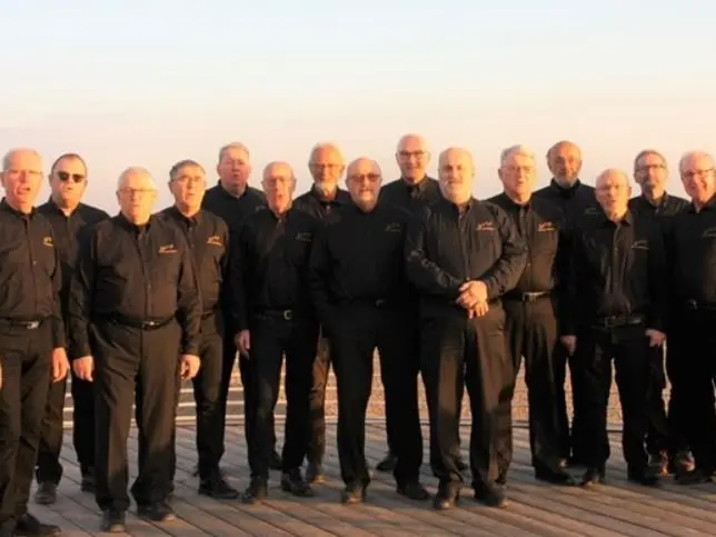 Vox Hominis