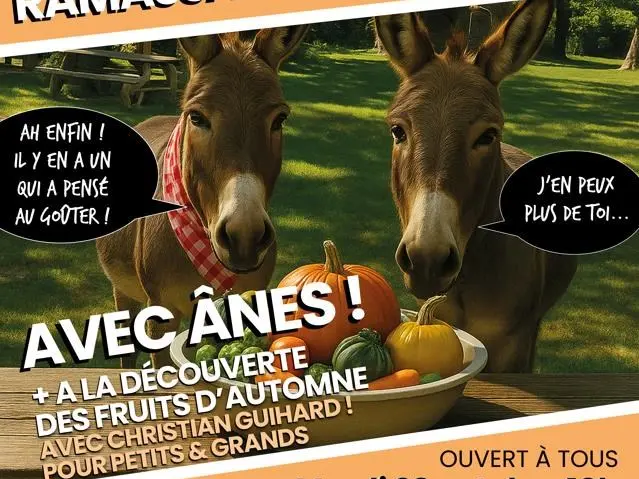 Eco-balade avec des ânes
