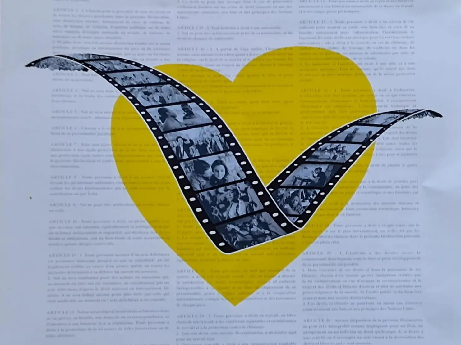 Amnesty international festival cinéma