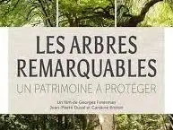 Film arbres remarquables