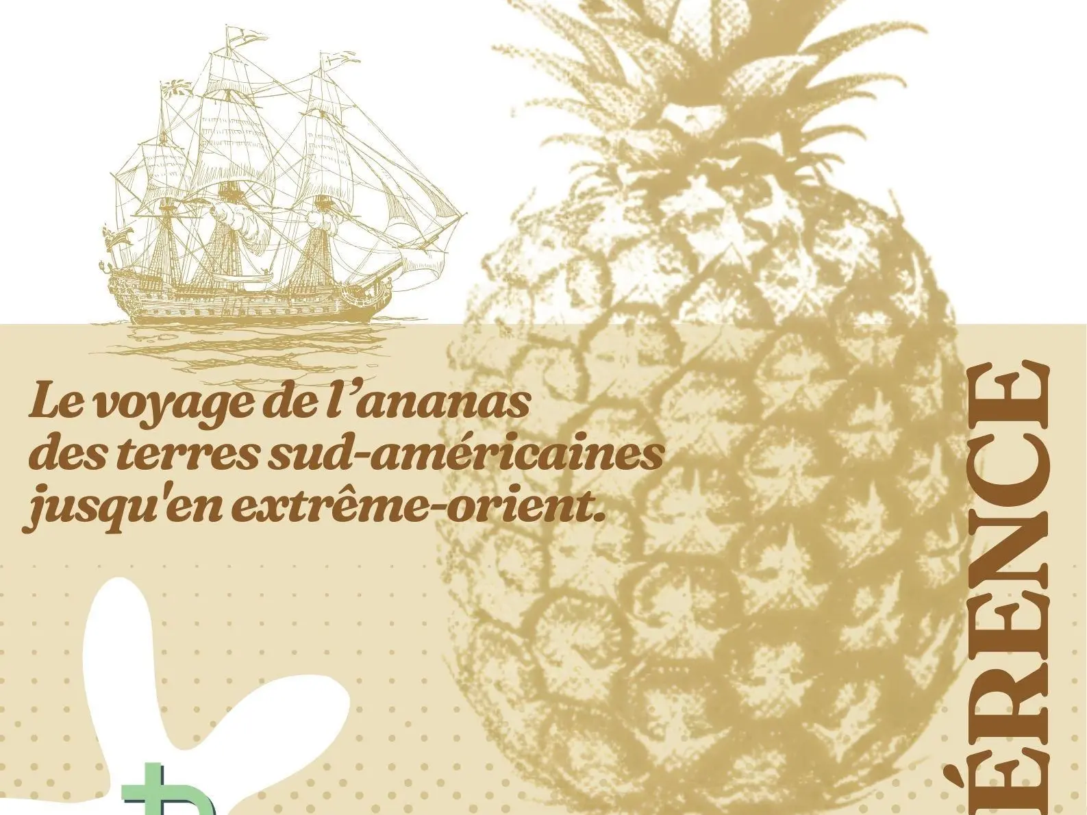 L'ananas, le roi des fruits
