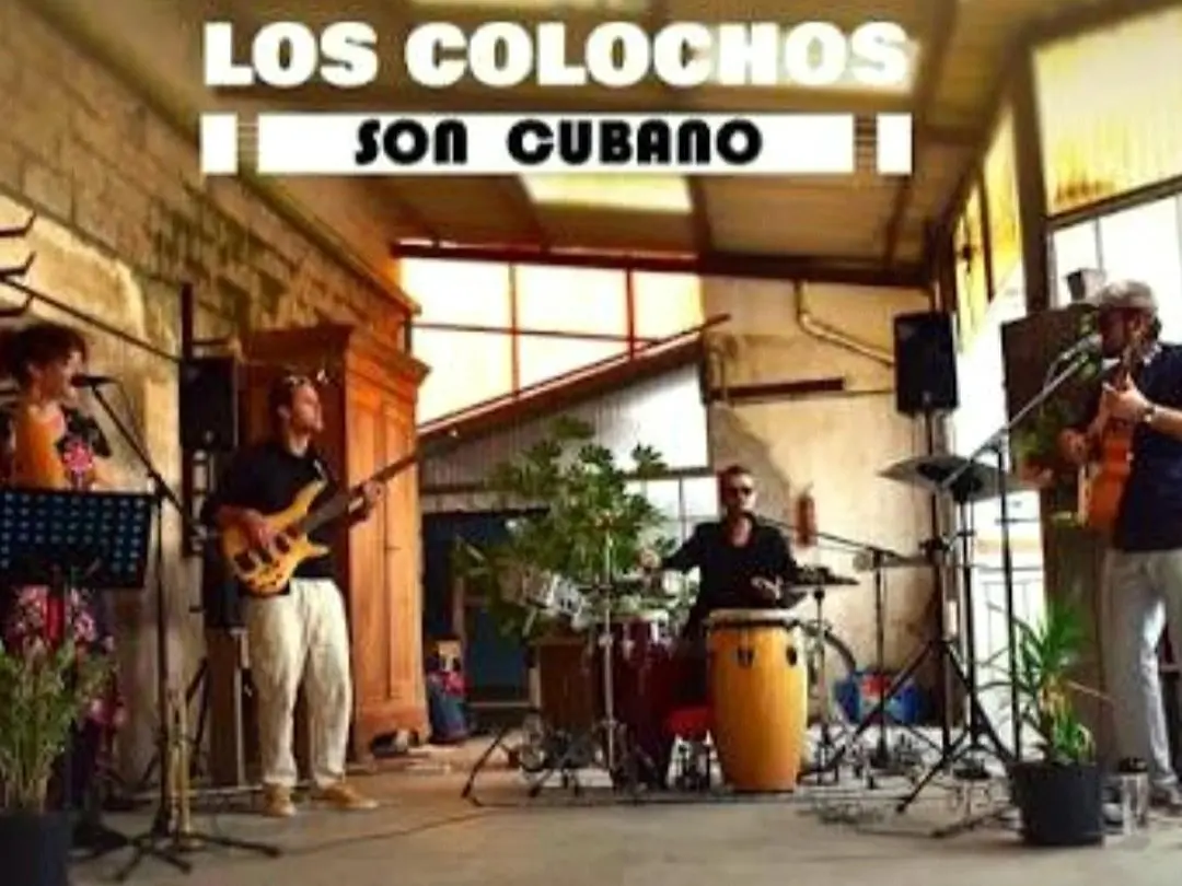 Los Colochos