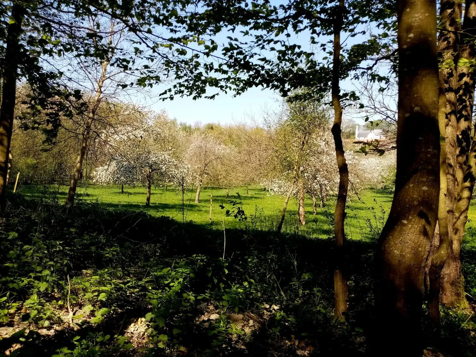 Les vergers de l'Escapade