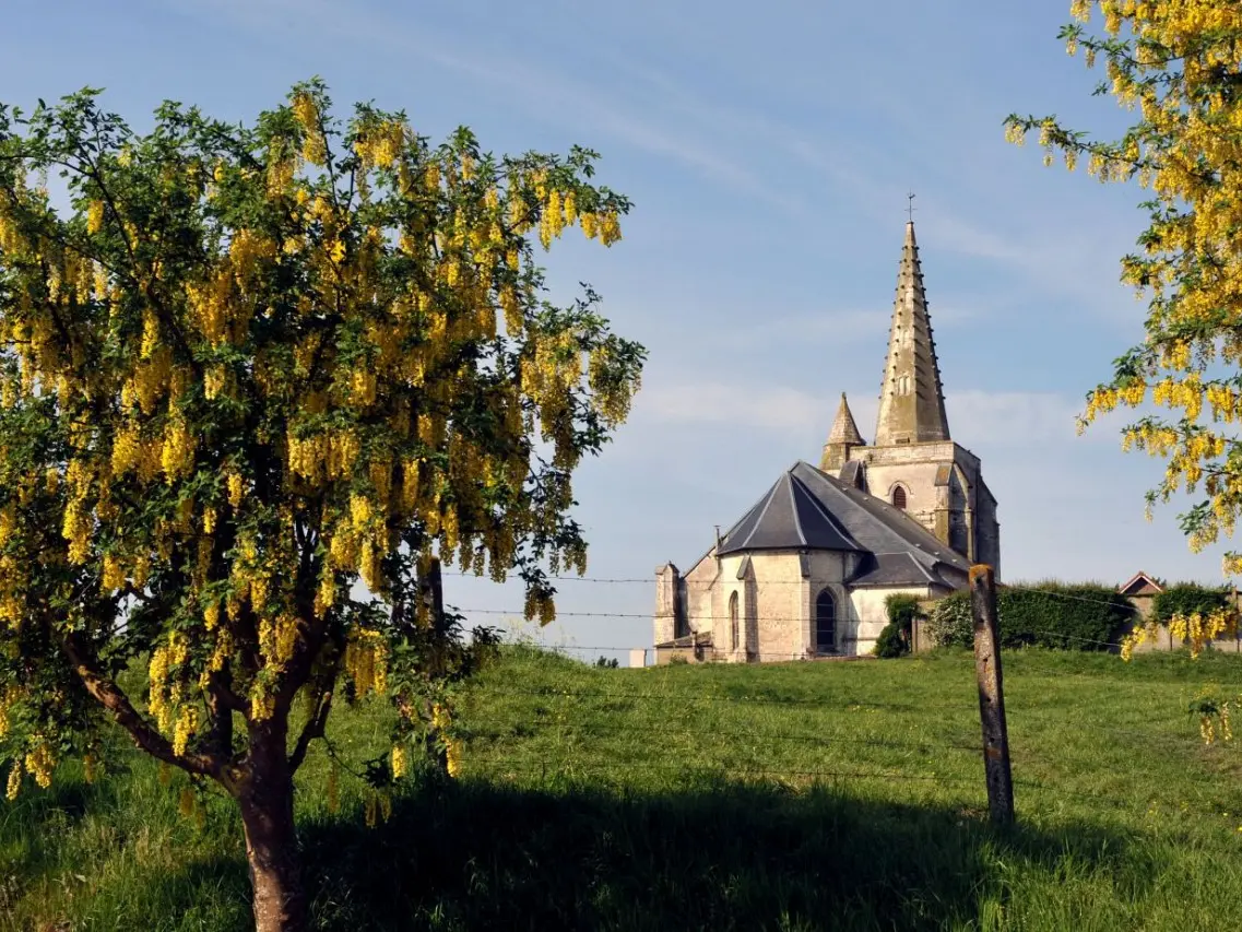 Le Mont de Drionville - Nielles-les-Bléquin