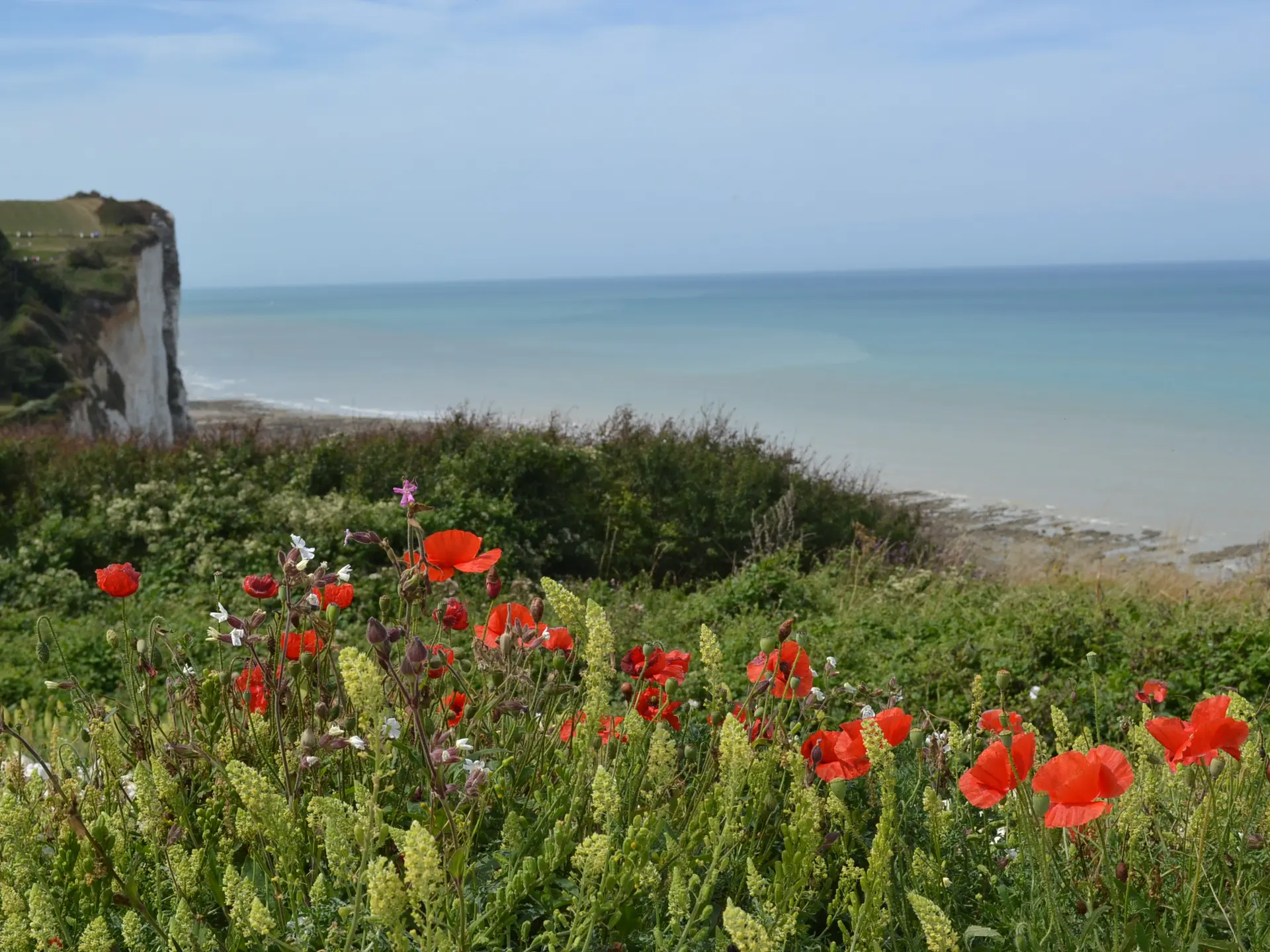 LE BOIS DE CISE